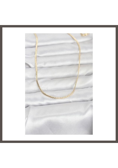 Bezos Cm 14k Gold Renk Yassı Zincir Model 60 Cm Kadın Kolye Nxrlvng
