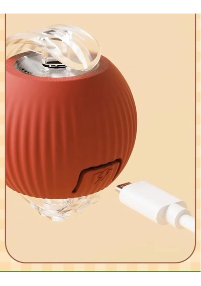 River World Kediler İçin Oyuncak Şarjlı