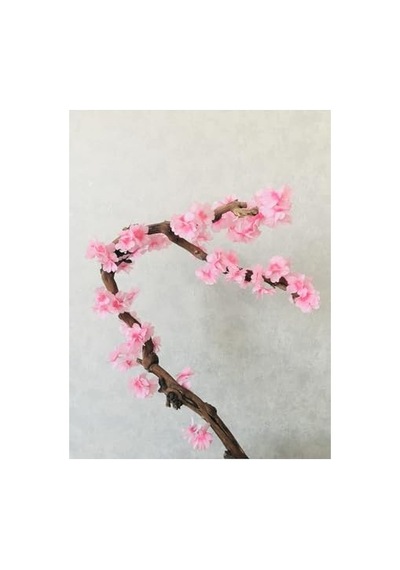 Çiçekleri Çin 60 X 60 Diğer