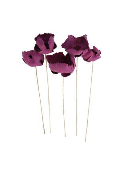 Kuru Çiçek 5li Palm Cap Demeti 45 Cm Palm Cup Çiçeği Erguvan
