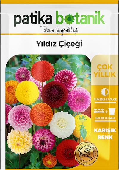 30 Adet Yıldız Çiçek Tohumu Dahlia Pinnata 1