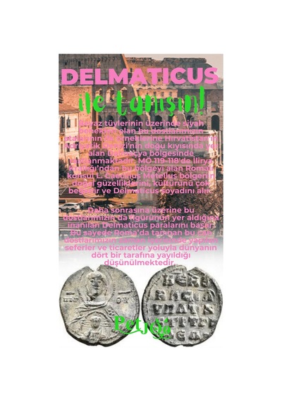 Petjoo 28.Delmaticus Yeşil-Pembe Qr'lı Köpek Künyesi
