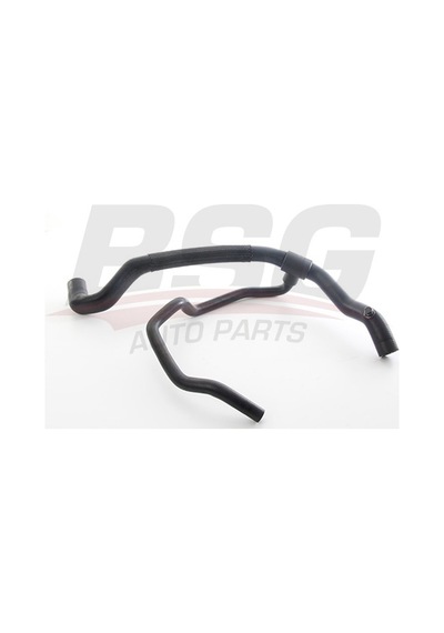 Bsg Radyator Hortumu Ust - Laguna I 93-