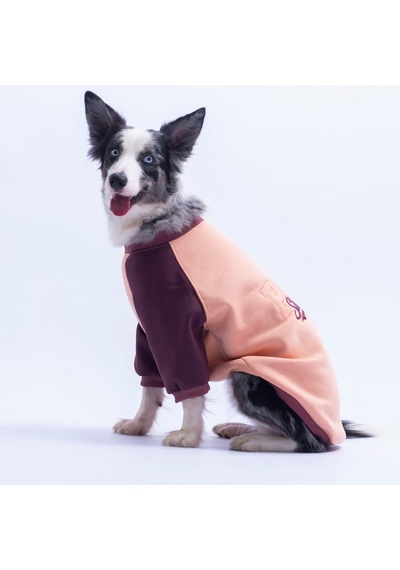 Somon Boston Pawstar Sweat Orta-büyük Irk Köpek Sweatshirt Köpek Sweat Köpek Kıyafeti