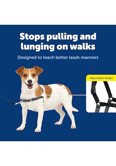 Gentle Dog Boyun Tasması Xs Blue