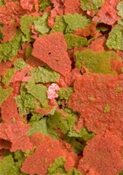 Ocean Nutrition Discus Flakes 34 Gr.