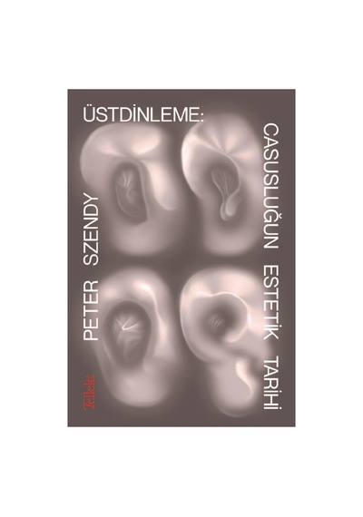 Casusluğun Estetik Tarihi Üzerine İnceleme
