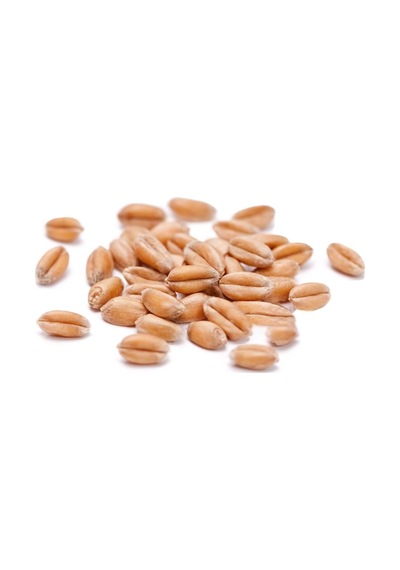 İpek Değirmen 3 Kg Premium Güvercin Yemi Sorgum Aspir Kara Buğday 0.75 LT - 2.5 LT - 12 KG