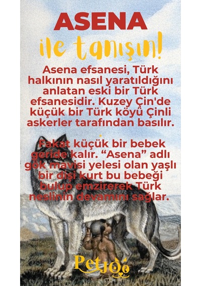 Petjoo 25.Asena Sarı-Kırmızı Qr'lı Köpek Künyesi