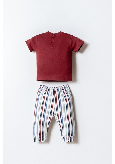 U.s. Polo Assn. Erkek Bebek Bordo Şort Takım 5274-49962 Bordo