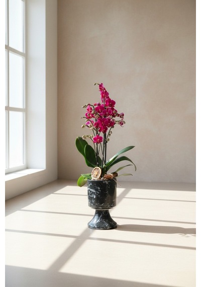 Mine Garden Ankara: Royal Purple Orchid Marble 68 Cm