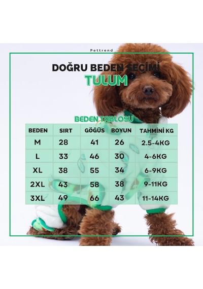 Avocado - Avokado Peluş Tulum Kedi Köpek Tulumu Kedi Köpek Kıyafeti Kedi Köpek Elbisesi Köpek Giysisi
