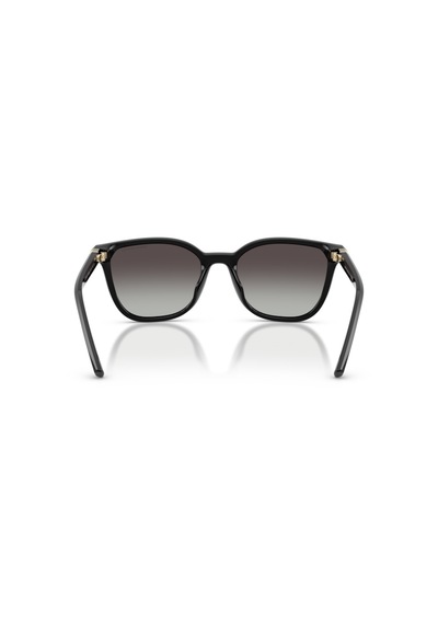Armani Exchange Ax4168u-81588g Kadın Güneş Gözlüğü Siyah