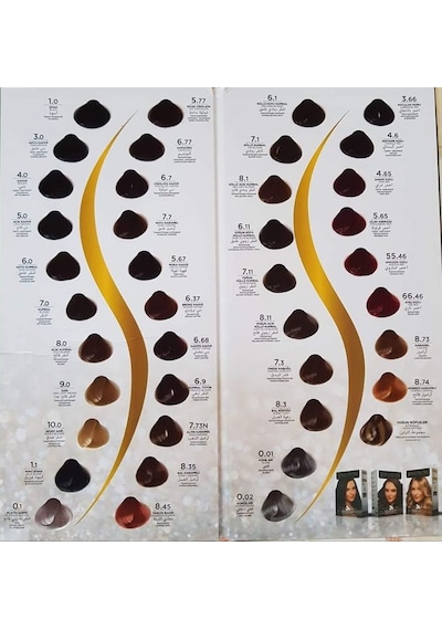 Sea Color Set Boya 1.1 Mavi Siyah 2 Adet+Boya Tarağı+Fırça