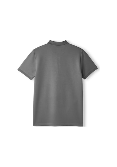 Gsstore Galatasaray Premium Basic Polo T-shirt E251133 Antrasit