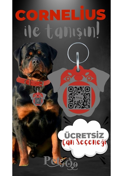 Petjoo 20.Cornelius Gri-Kırmızı Qr'lı Köpek Künyesi