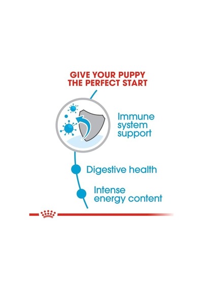 Royal Canin-mini Puppy Köpek Sı 2 Kg