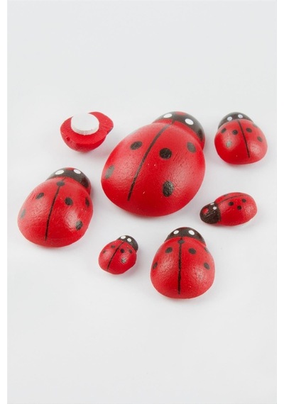 Uğur Böceği Set 6 Adet 11