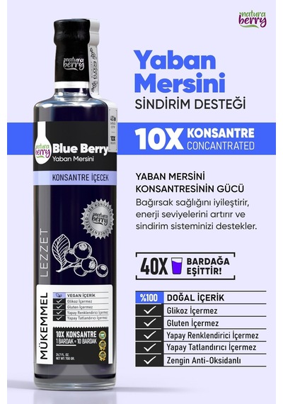 Yaban Mersini Konsantresi 700gr - 655766249 Diğer