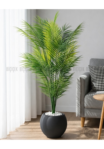 Biçiçek Areka Ağaci 24 Yapraklı 130 Cm Antresi̇t Küre Saksıda