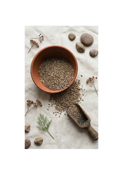 Anason Tohumu 100gr, Doğal Ve Katkısız