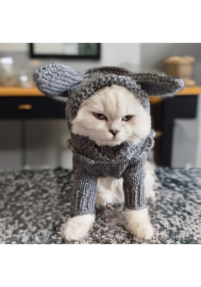 Kedi Ve Köpek İçin Gri Işıltılı Tavşan Kostümlü Tulum