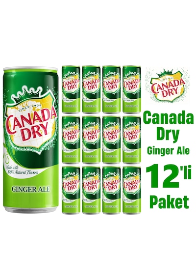 Canada Dry Ginger Ale 12 x 330 ML