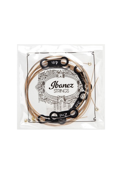 Ibanez IACSP61C Phosphor Bronze Extra Light Takım Tel Akustik Git