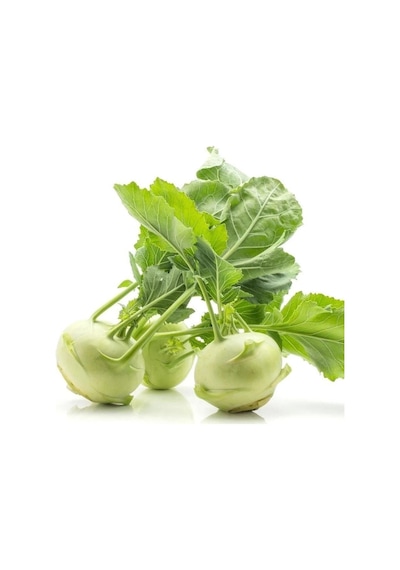 Ata Tohum Geleneksel Yeşil Kohlrabi Alabaş Tohumu 20 Tohum