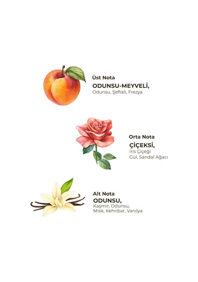 Soft - Kadın Roll On Deodorant 75 Ml Meyveli