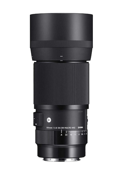 Sigma 105 MM F/2.8 DG DN Macro Art (Sony E) Uyumlu Lens