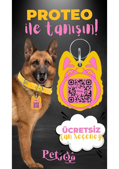 Petjoo 24.Proteo Pembe-Sarı Qr'lı Köpek Künyesi