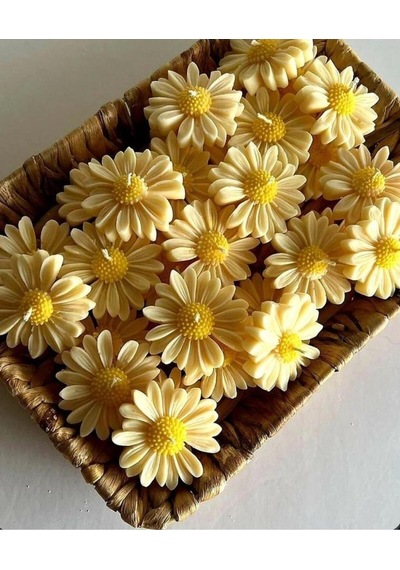 Bernami Vazo Pinterest 10 Adet Papatya Model Mum , Su Üzerinde Yüzen Mum Diğer