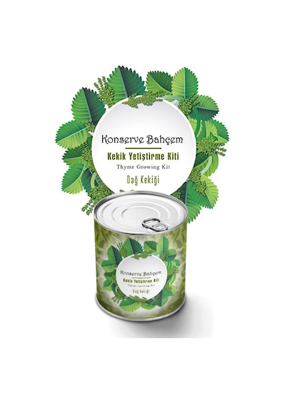 Konserve Bahçem Kekik Tohum Dağ Kekiği Yetiştirme Kiti