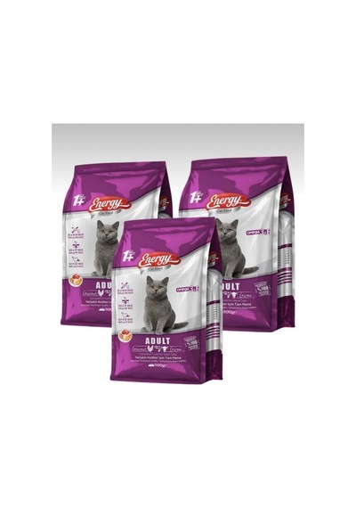 Energy Somonlu Yetişkin Kedi Maması 500 Gr 4 Adet