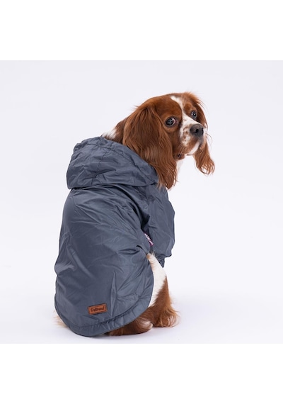 Pettrend Antrasit Mont Köpek Mont Köpek Kıyafeti Köpek Yağmurluğu