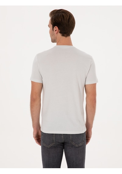 Taş Slim Fit %100 Pamuk Bisiklet Yaka Basic T-shirt Gri