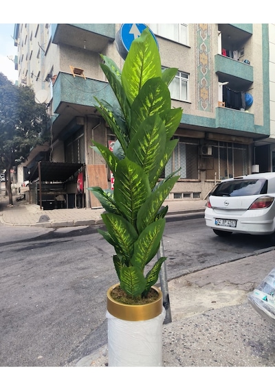 Rüzgar Yapay Çiçekçilik Krem Saksıda Difenbahya Ağacı Yeşil