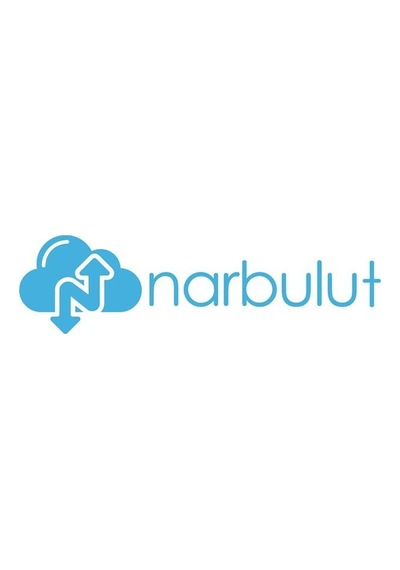 Narbulut Backup Now Professional Edition 100gb Lisans 1yıl 1kullanıcı Basic Support İs İncluded.