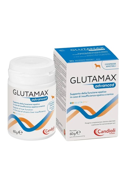 Candioli Glutamax Advanced Köpek Karaciğer Destek Macunu 60 Gr Siliphos & Deve Dikeni Kompleksi