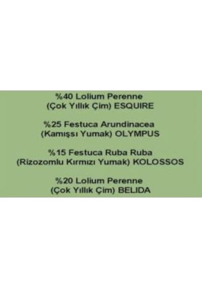 Çim Tohumu 4 M Joker Ulusoy Tohumculuk 4 Lü Karışım 10 KG