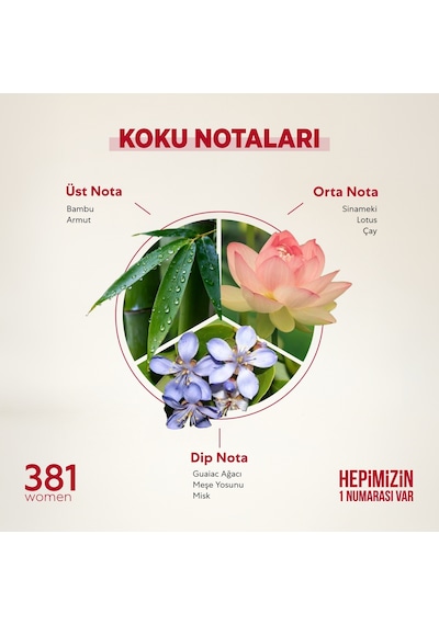 Bargello 381 Kadın Parfüm EDP 50 ML