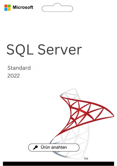 Sql Server 2022 Standard Dijital Lisans