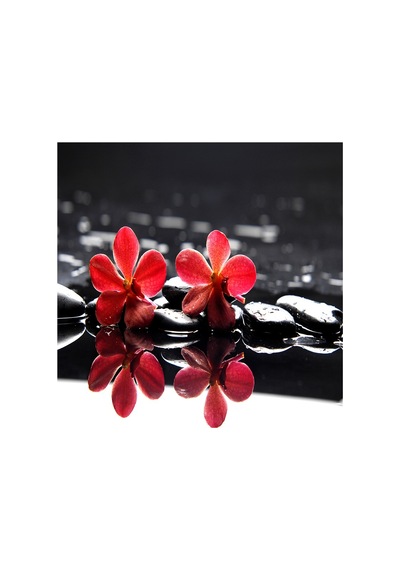 Spa Taşları Ve Kırmızı Gerbera Çiçeği Doğal Taş Bardak Altlığı 4'lü Set - Natural Stone Coasters - Taş Çok Renkli