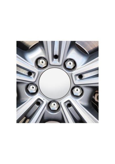 Nkt Group 17 Mm Krom Renk Bijon Kapağı, 20 Adet Set