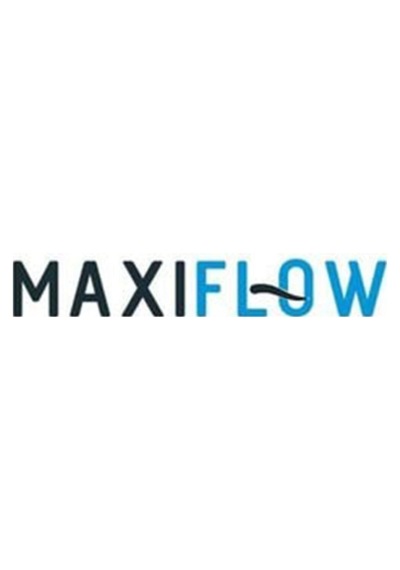 Maxiflow Maxıflow Ayaklı Wc Fırçalık Set Metalik