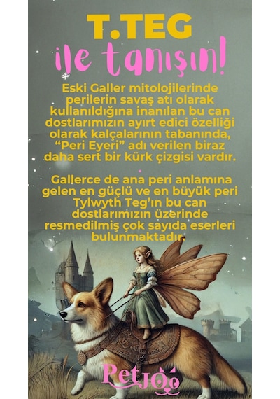 Petjoo 15.T.Teg Pembe-Sarı Qr'lı Köpek Künyesi