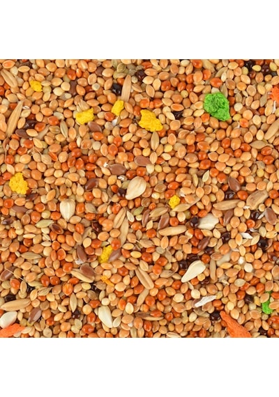 Garden Mix Ballı Muhabbet Yemi 5 Adet 500 G