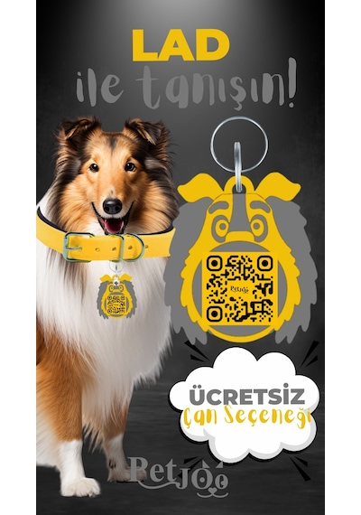 Petjoo 23.Lad Gri-Sarı Qr'lı Köpek Künyesi
