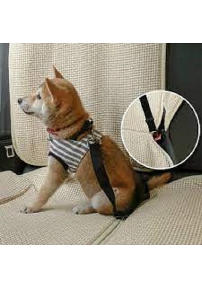 Ankaflex Evcil Hayvan Köpek Araç Emniyet Kemeri